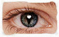 Click here to read what SingleVISION means.